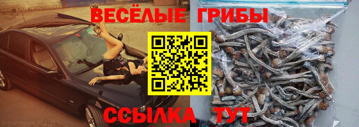 Галлюциногенные грибы мицелий Дмитров